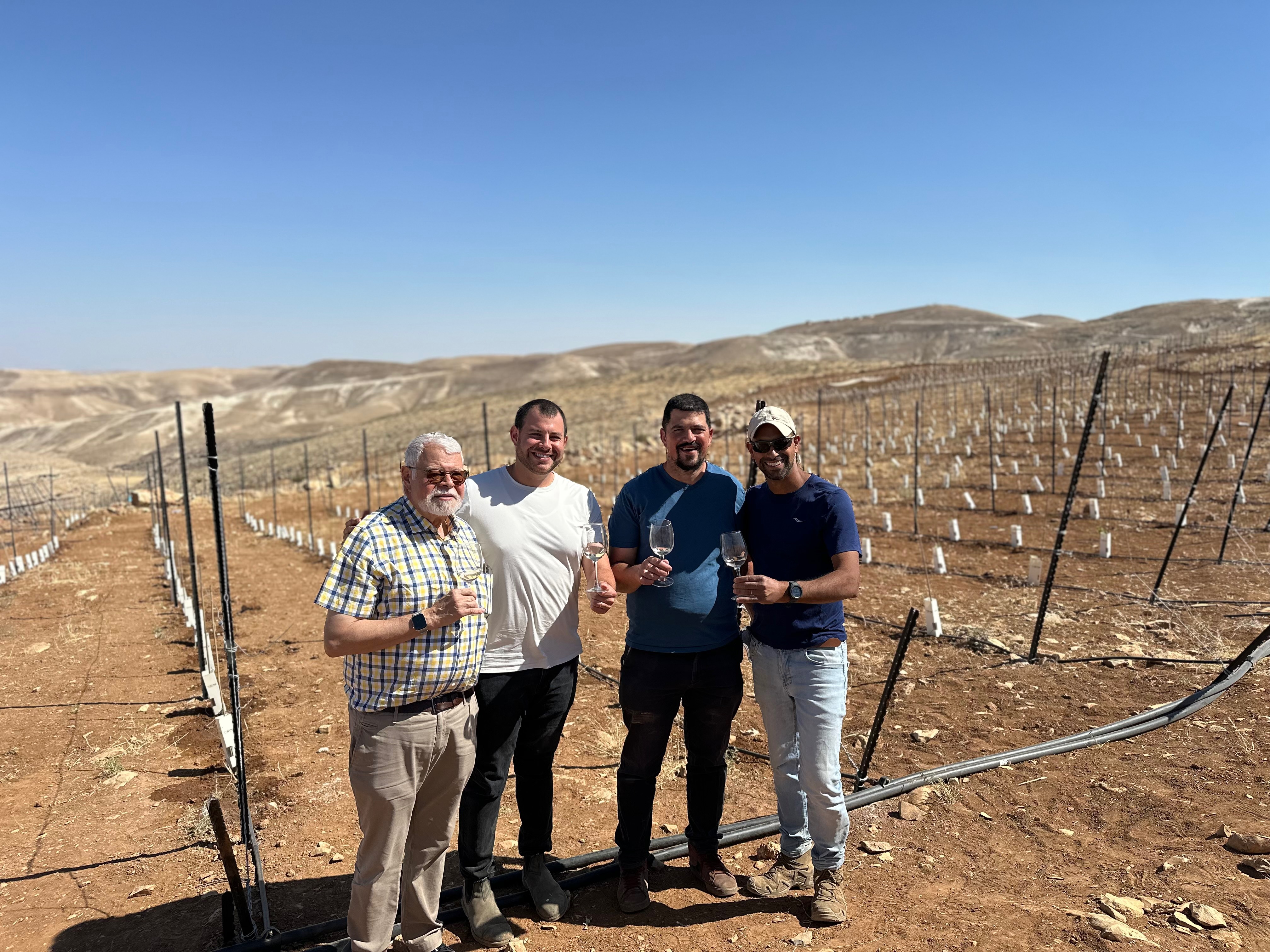 Group toasting with wine glasses at the vineyard